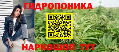 прущие грибы Среднеуральск