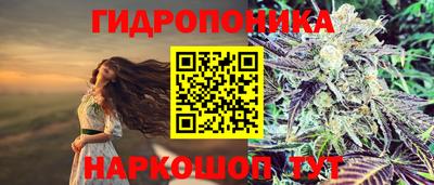 дмт Ставрополь