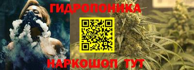 дмт Ставрополь
