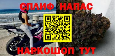 прущие грибы Среднеуральск