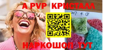 дмт Ставрополь