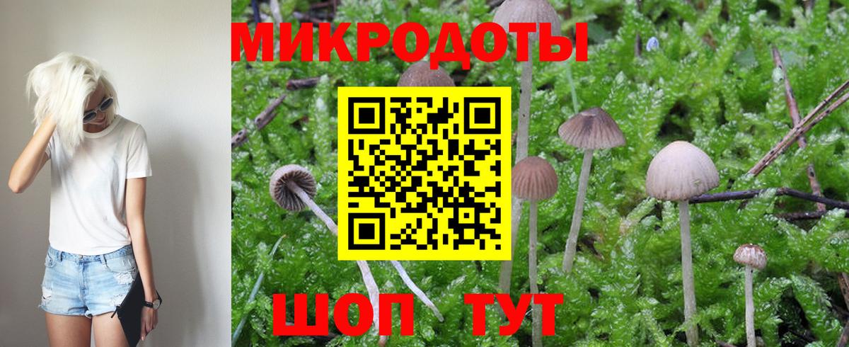Галлюциногенные грибы Psilocybine cubensis Белебей